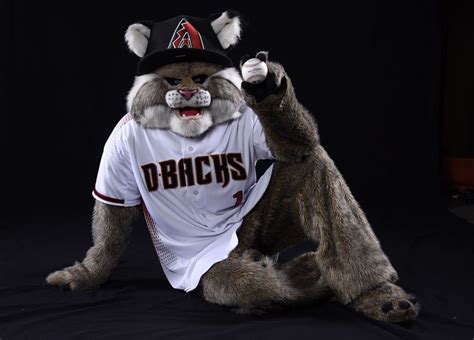 Bobcat Mascot Vestments and the Power of Visual Branding